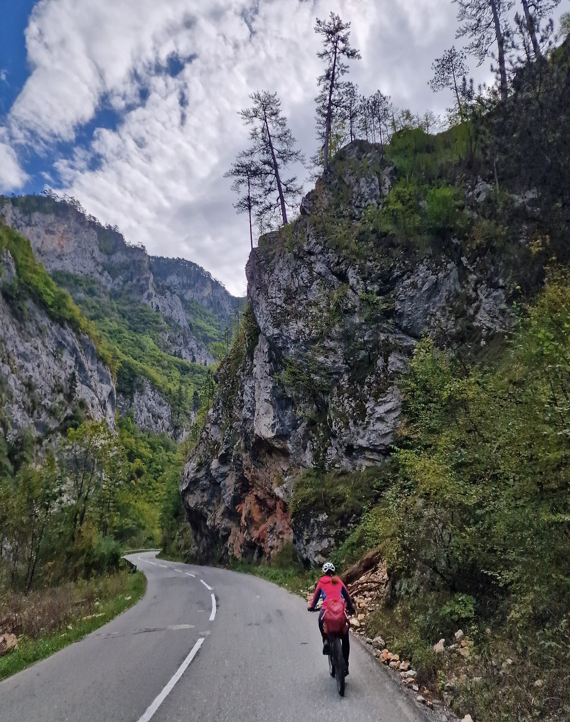 tara-road9.jpg