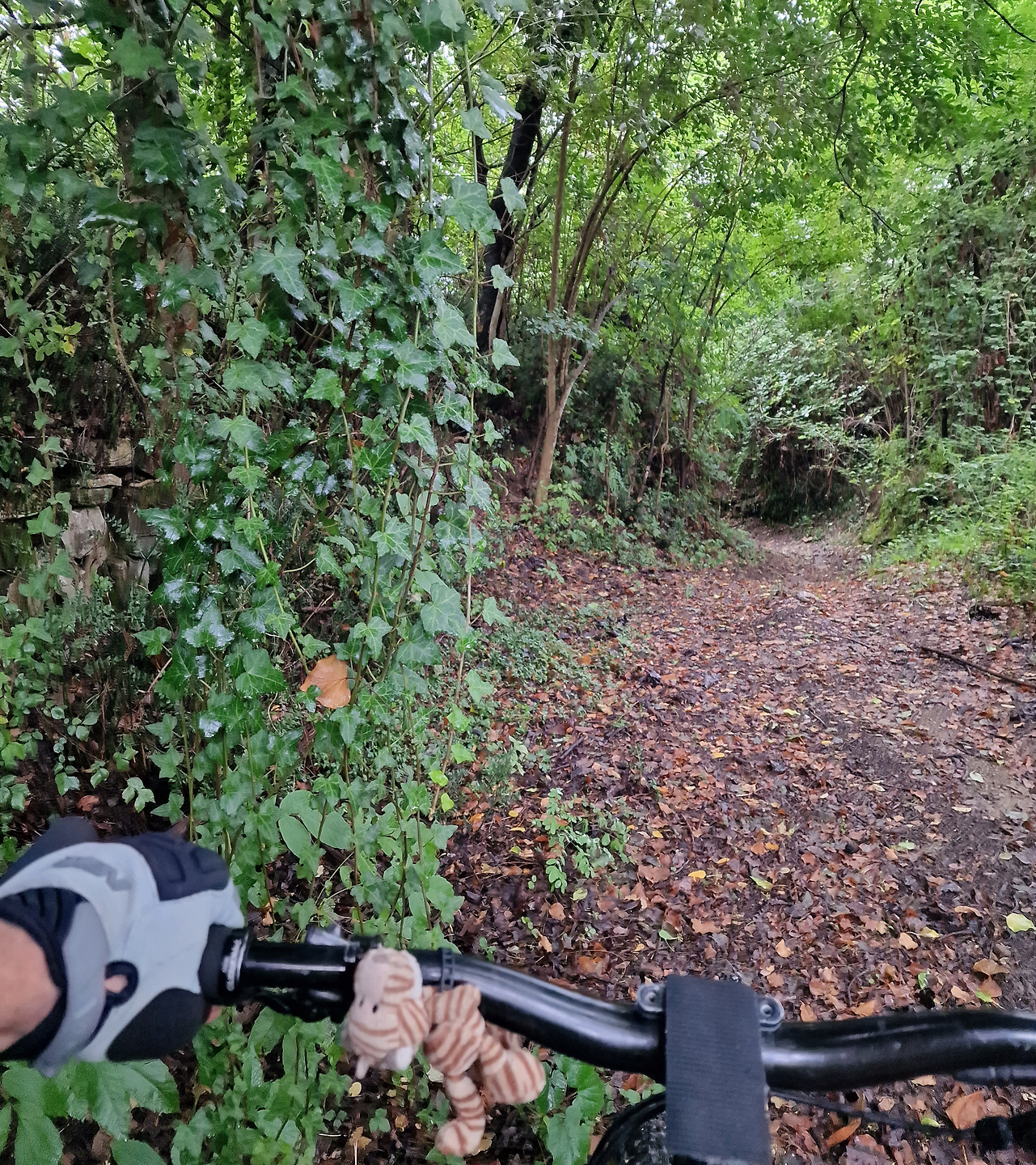 tarcento-trail2.jpg