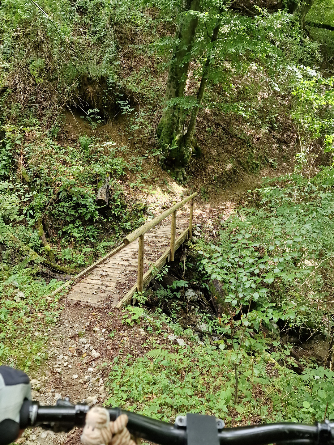 trinski-trail9.jpg