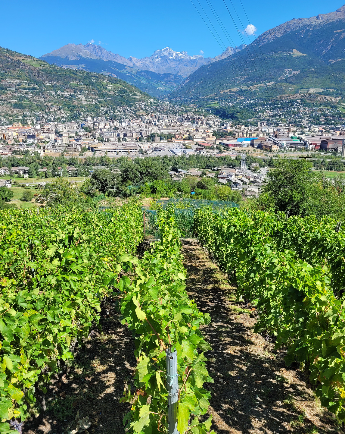 aosta-town1.jpg