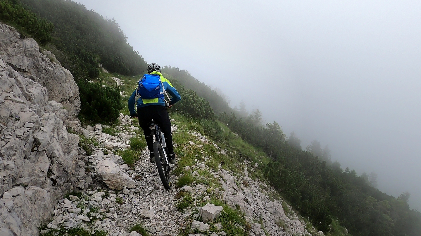 arvenis-trail5.jpg