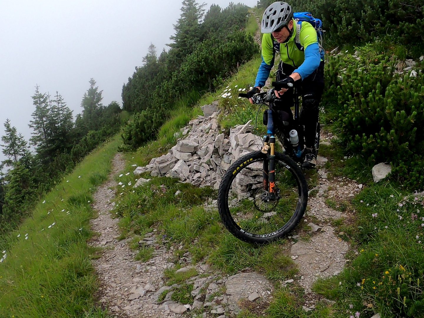 arvenis-trail7.jpg