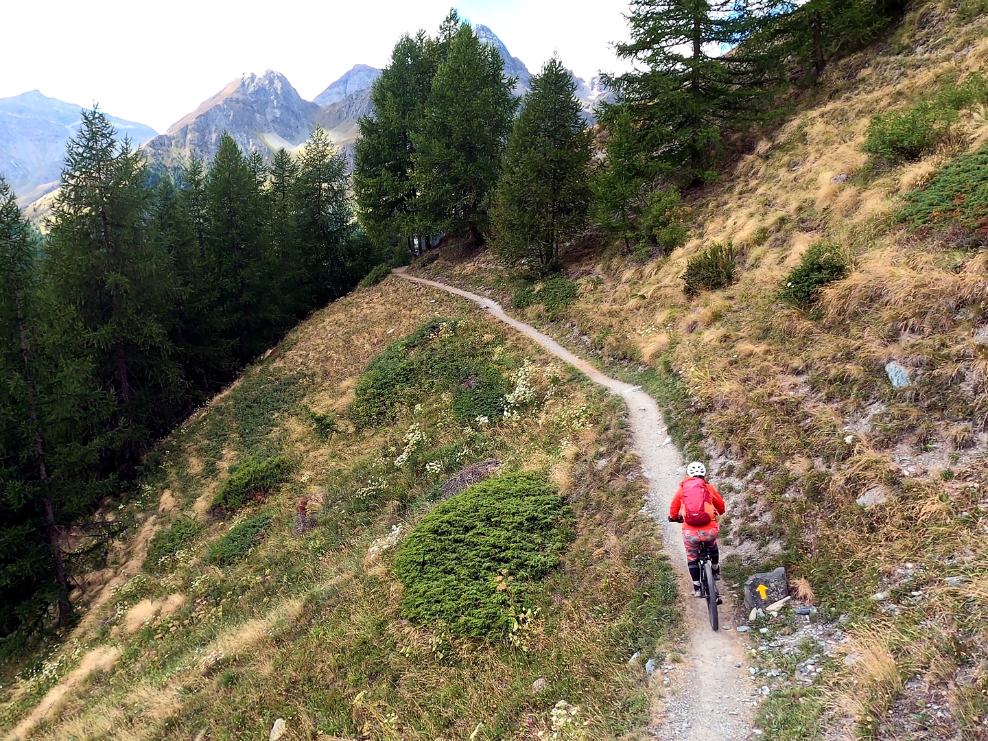 bettaforca-trail5.jpg