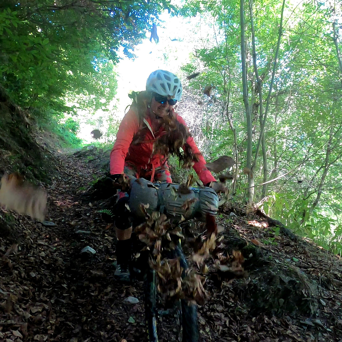 goderie-trail1.jpg