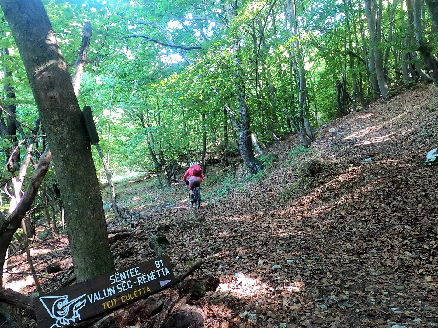 goderie-trail2.jpg
