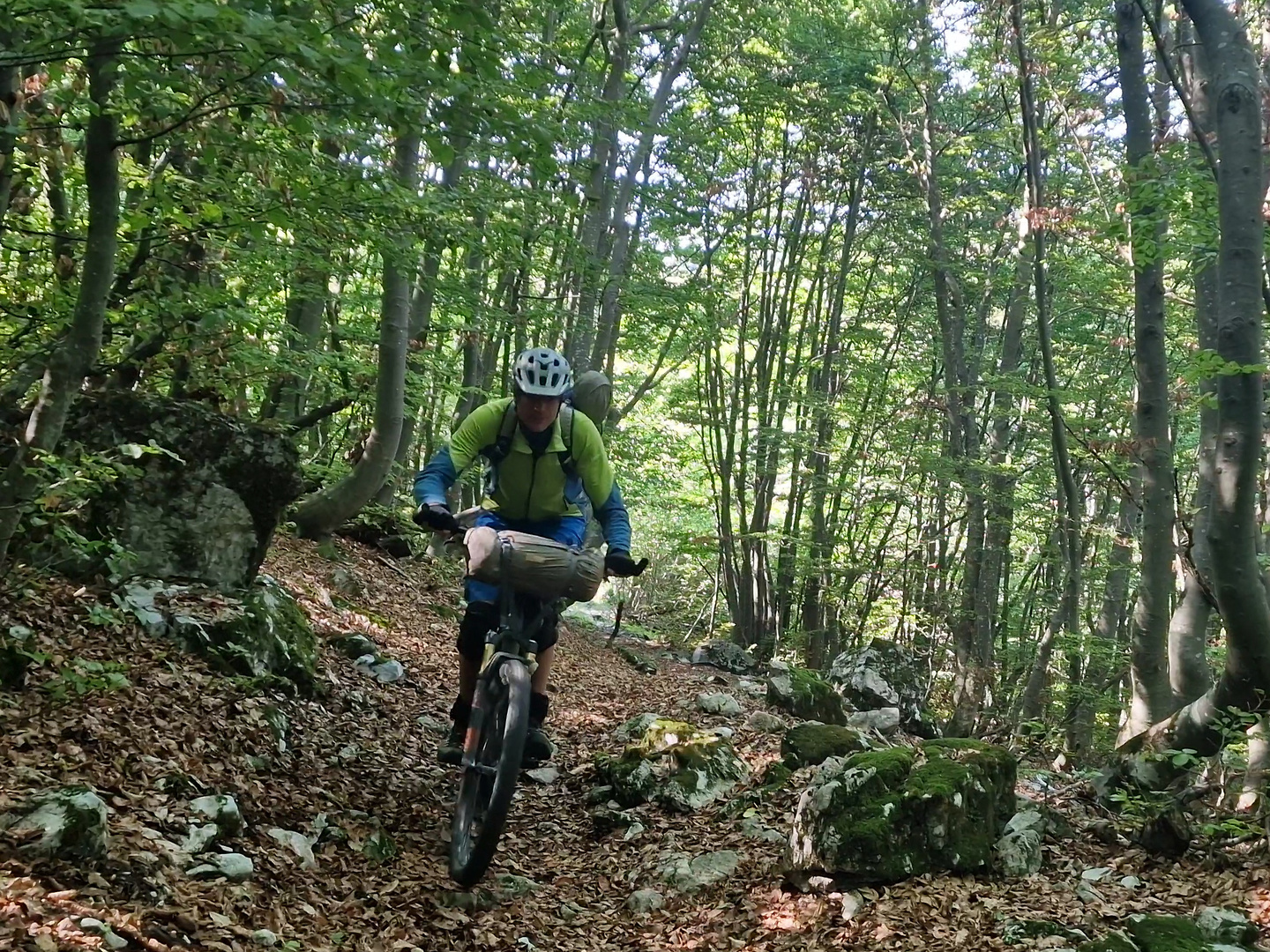 goderie-trail3.jpg