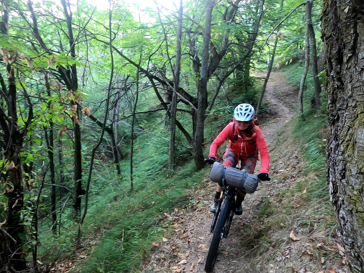 goderie-trail4.jpg