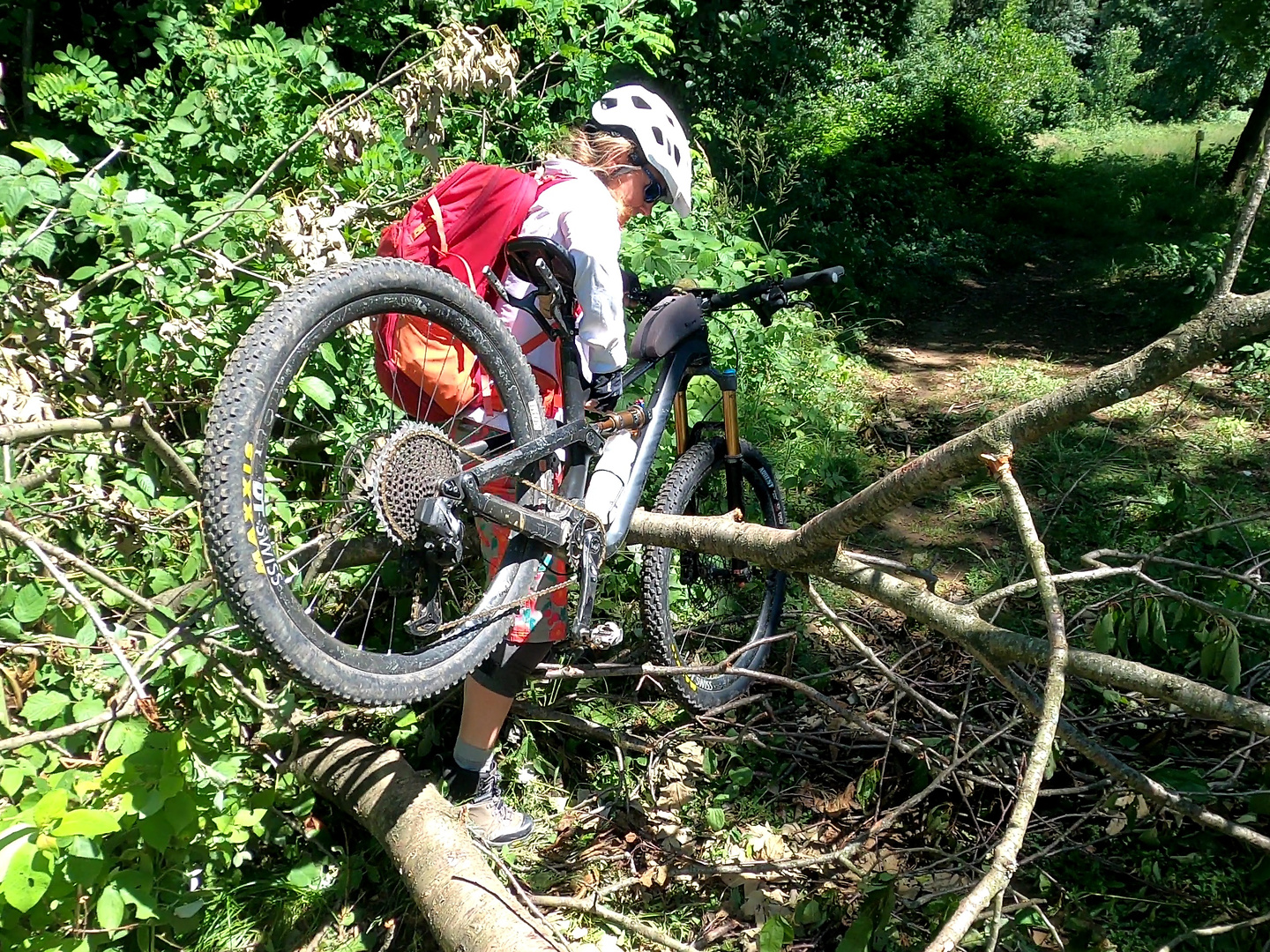matajur-trail8.jpg