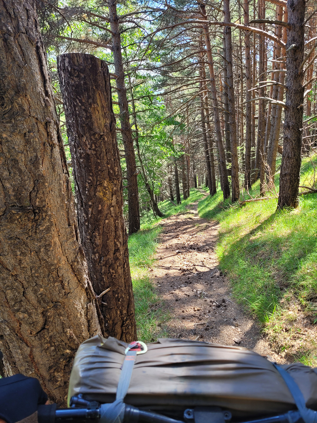 tabourde-trail5.jpg