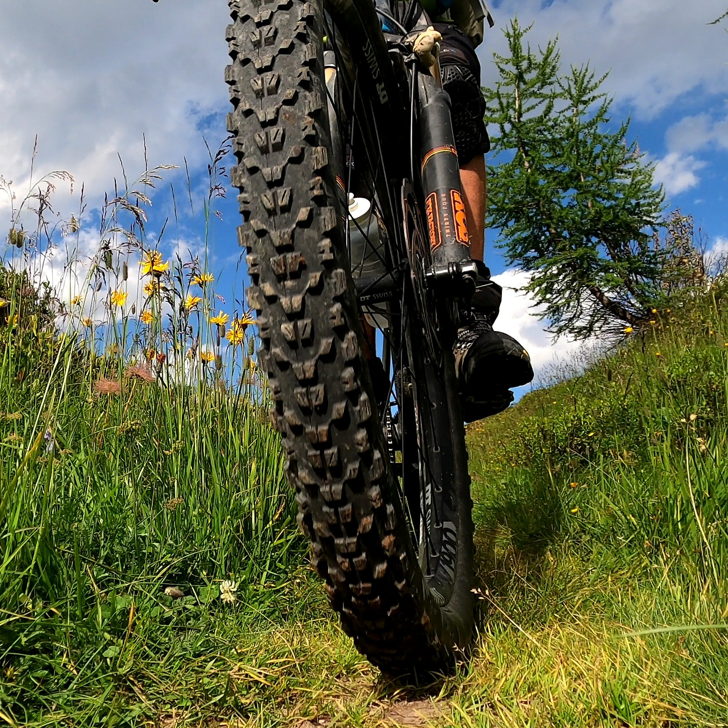 tragonia-trail4.jpg