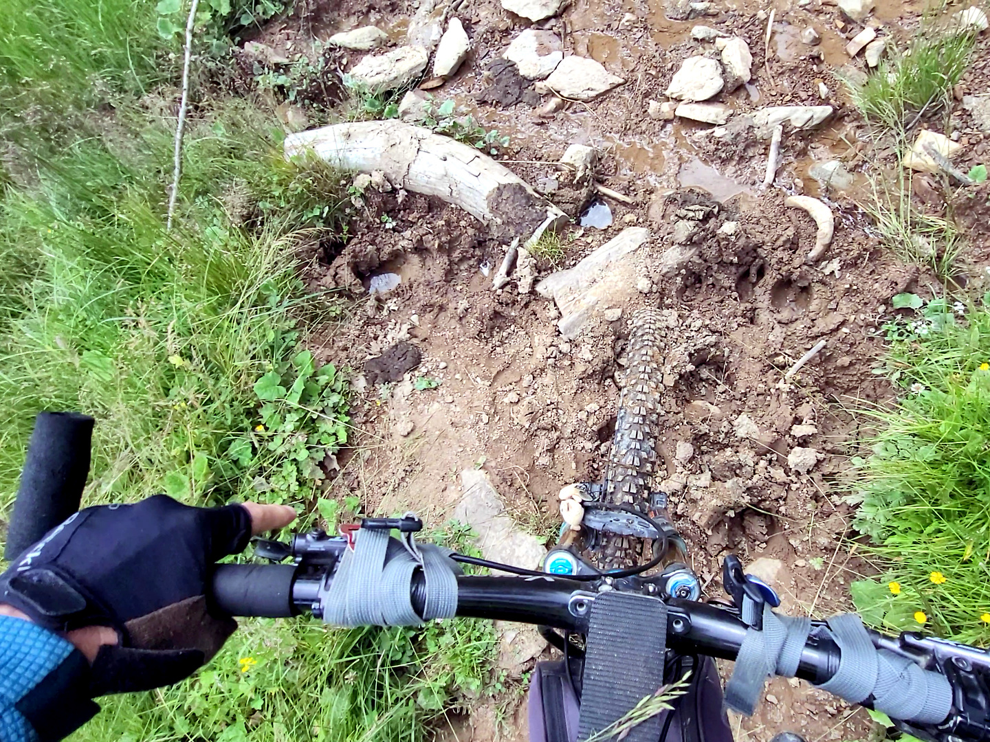 tragonia-trail5.jpg