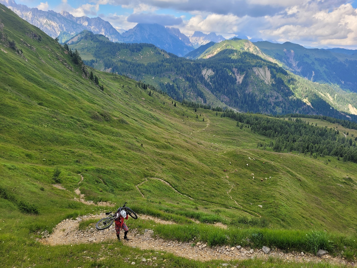 tragonia-uphill4.jpg