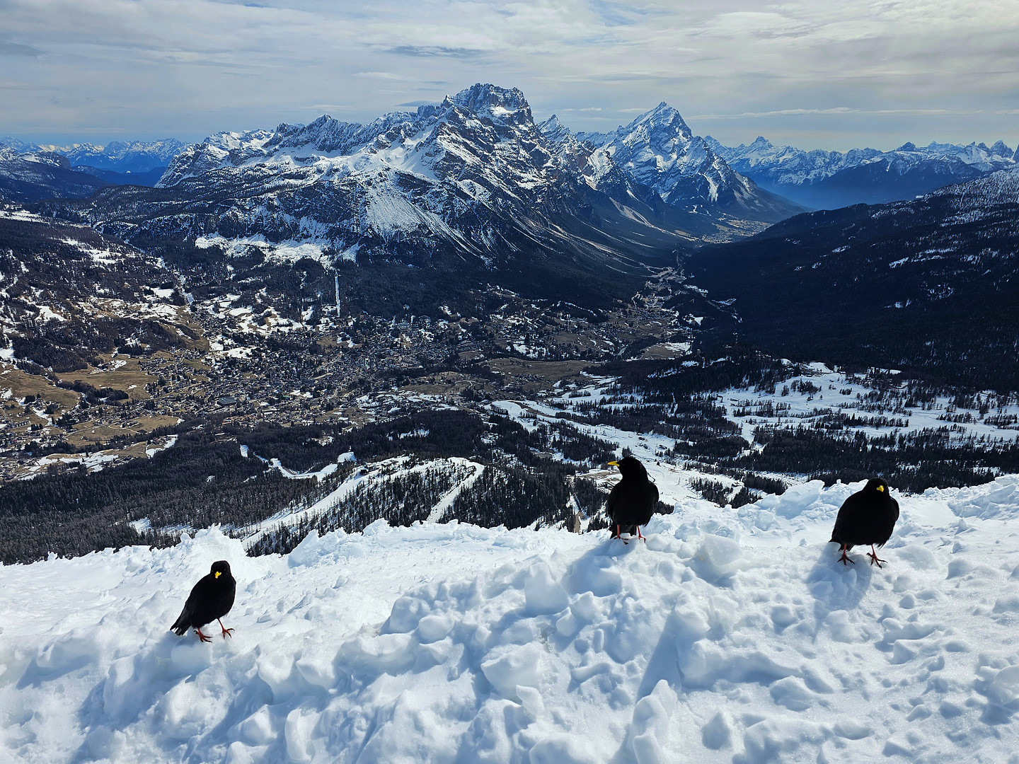 ski24m-cortina9.jpg