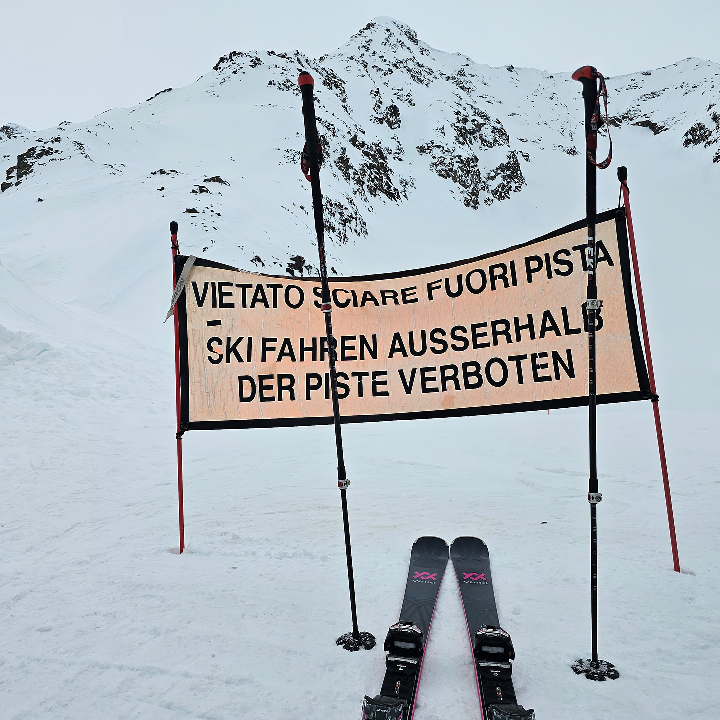 ski24m-pejo8.jpg