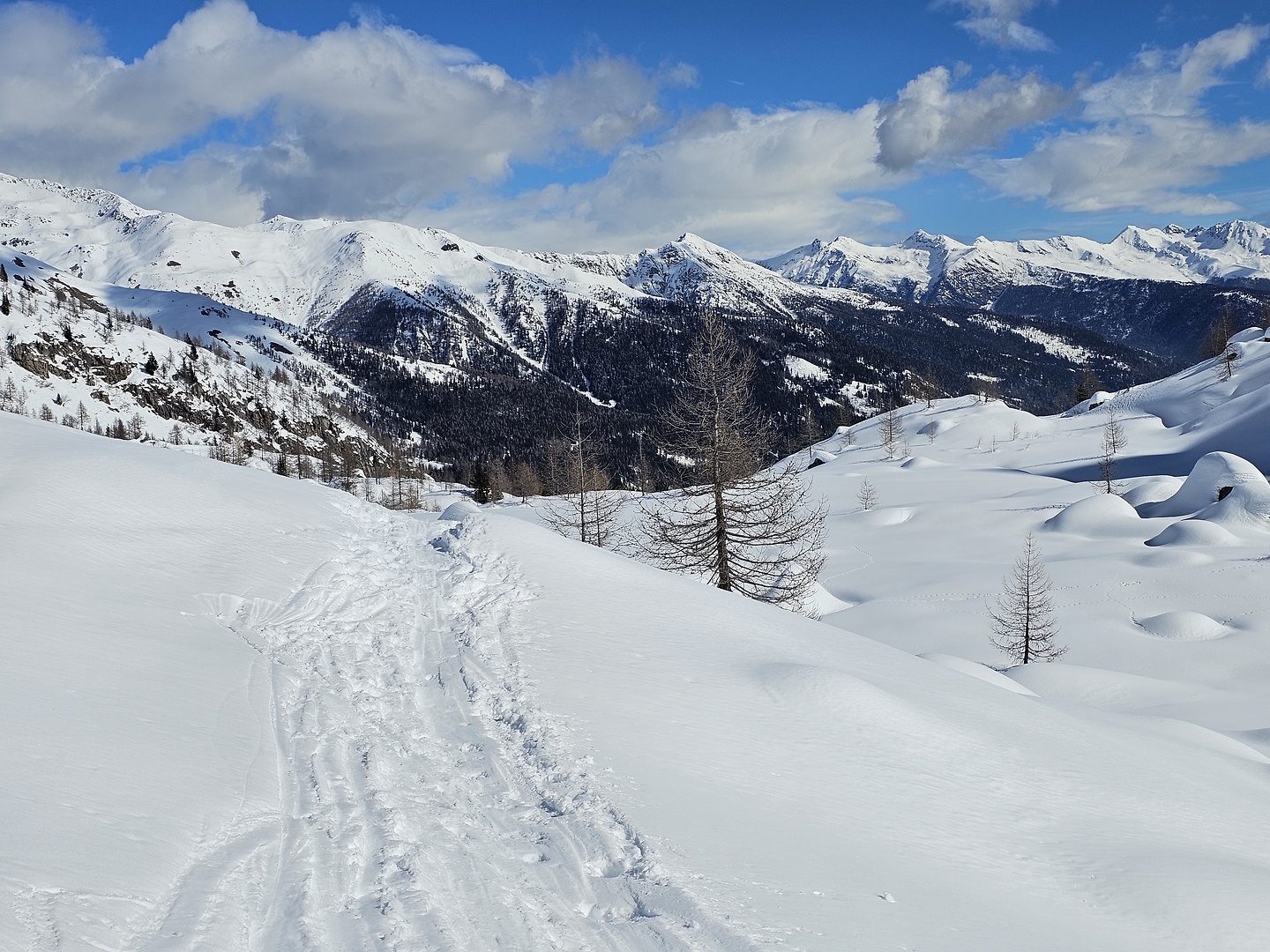 ski24m-tonale11.jpg