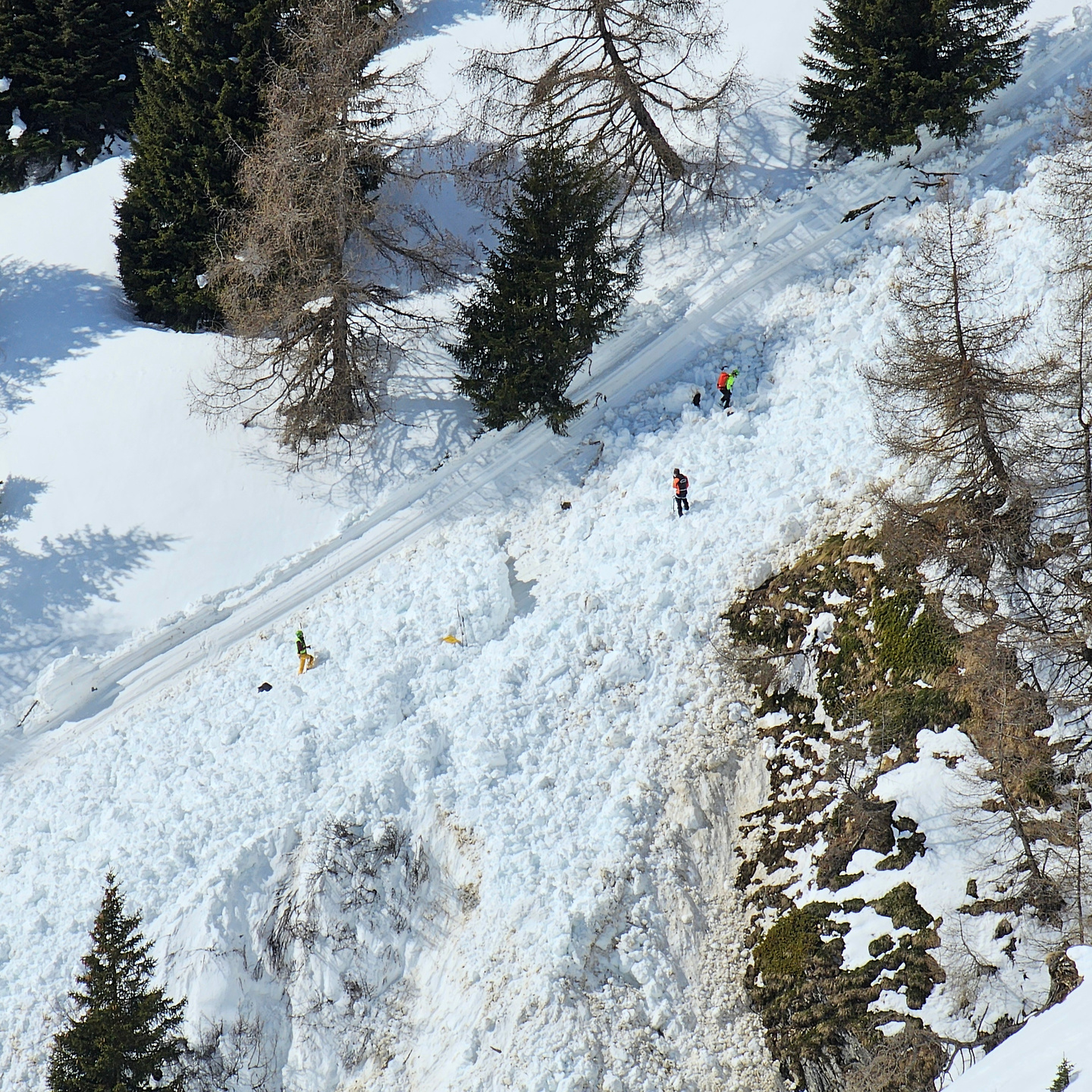 ski24m-tonale18.jpg