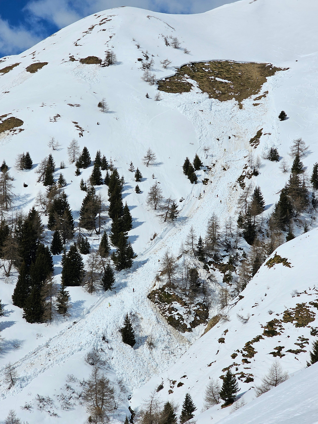 ski24m-tonale20.jpg