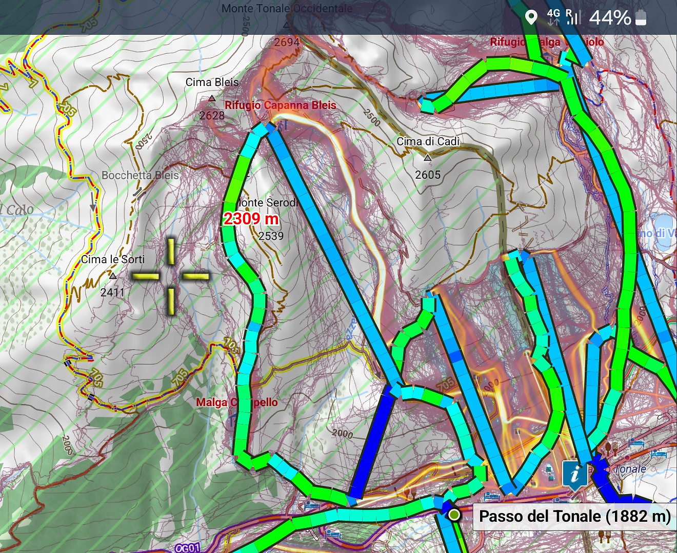 ski24m-tonale21.jpg