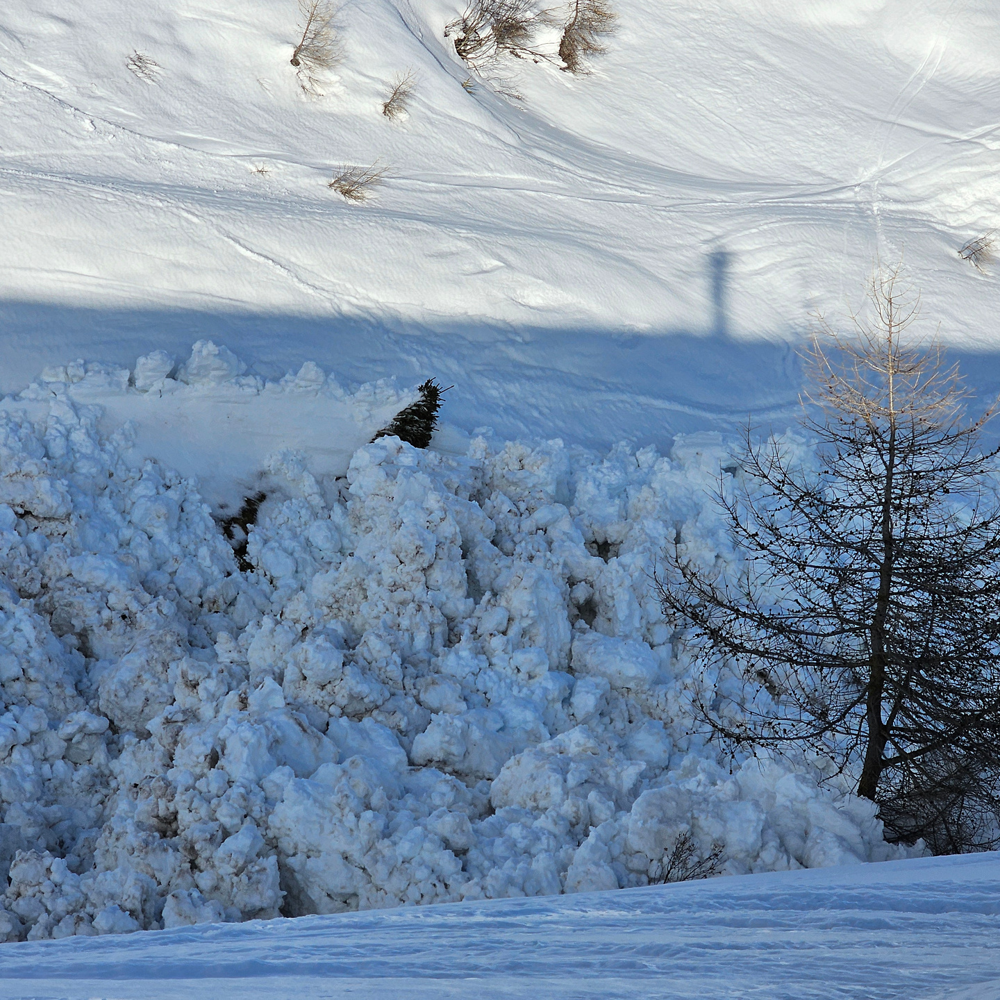 ski24m-tonale31.jpg