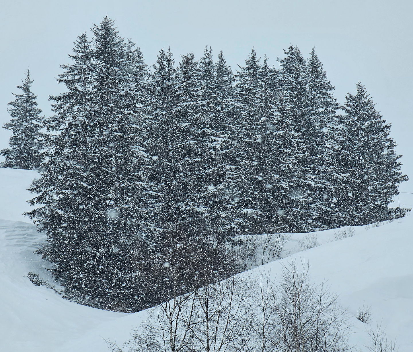 ski25-laplagne29.jpg