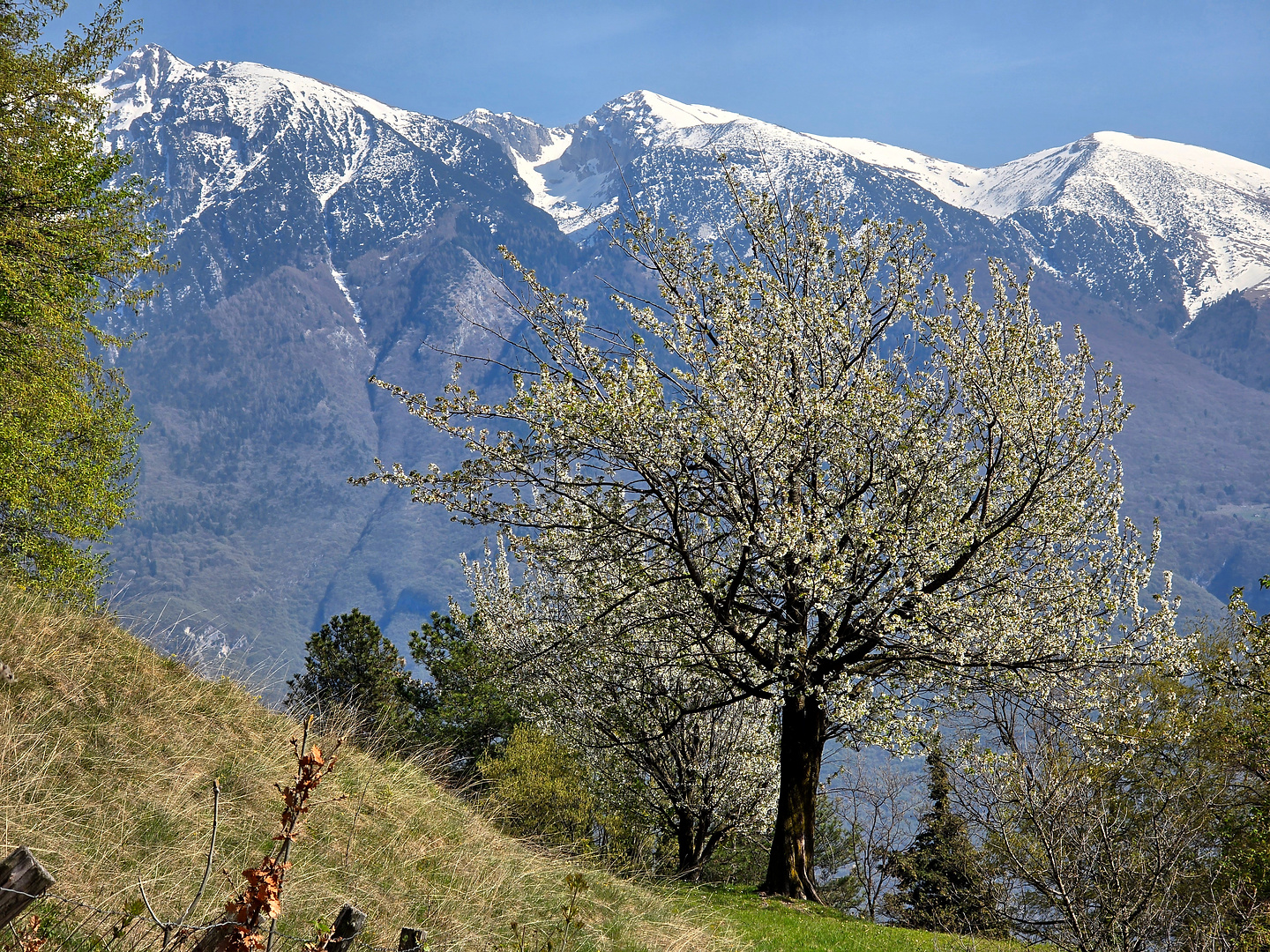 lago26-tignale4.jpg