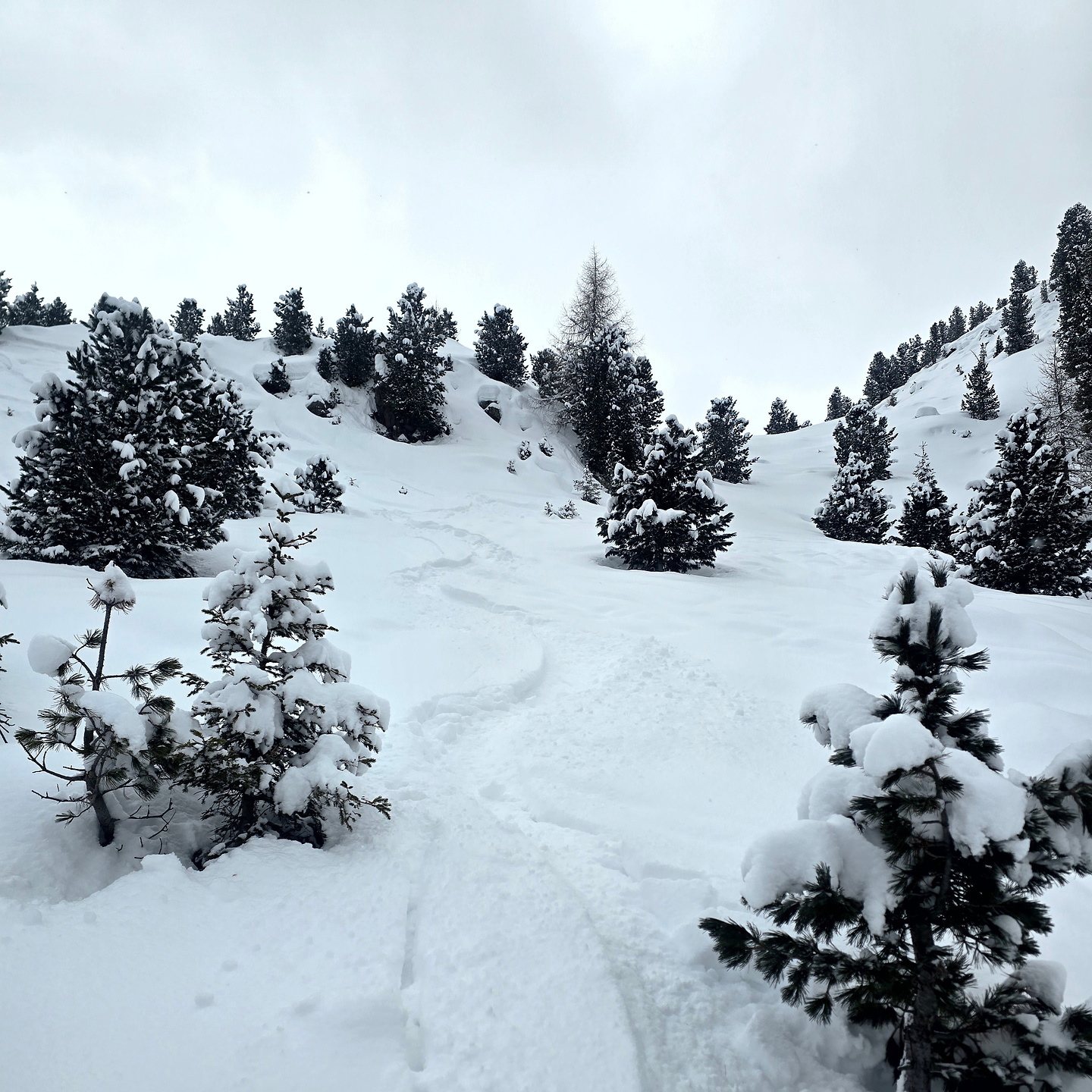 ski26-cavalese9.jpg