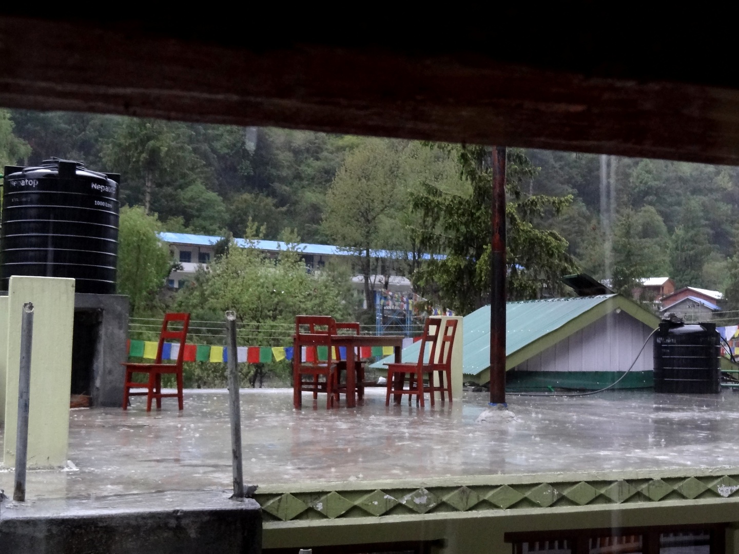 chame-rain.jpg