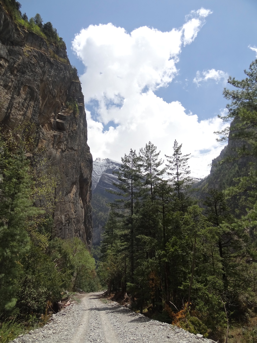 chame-road1.jpg