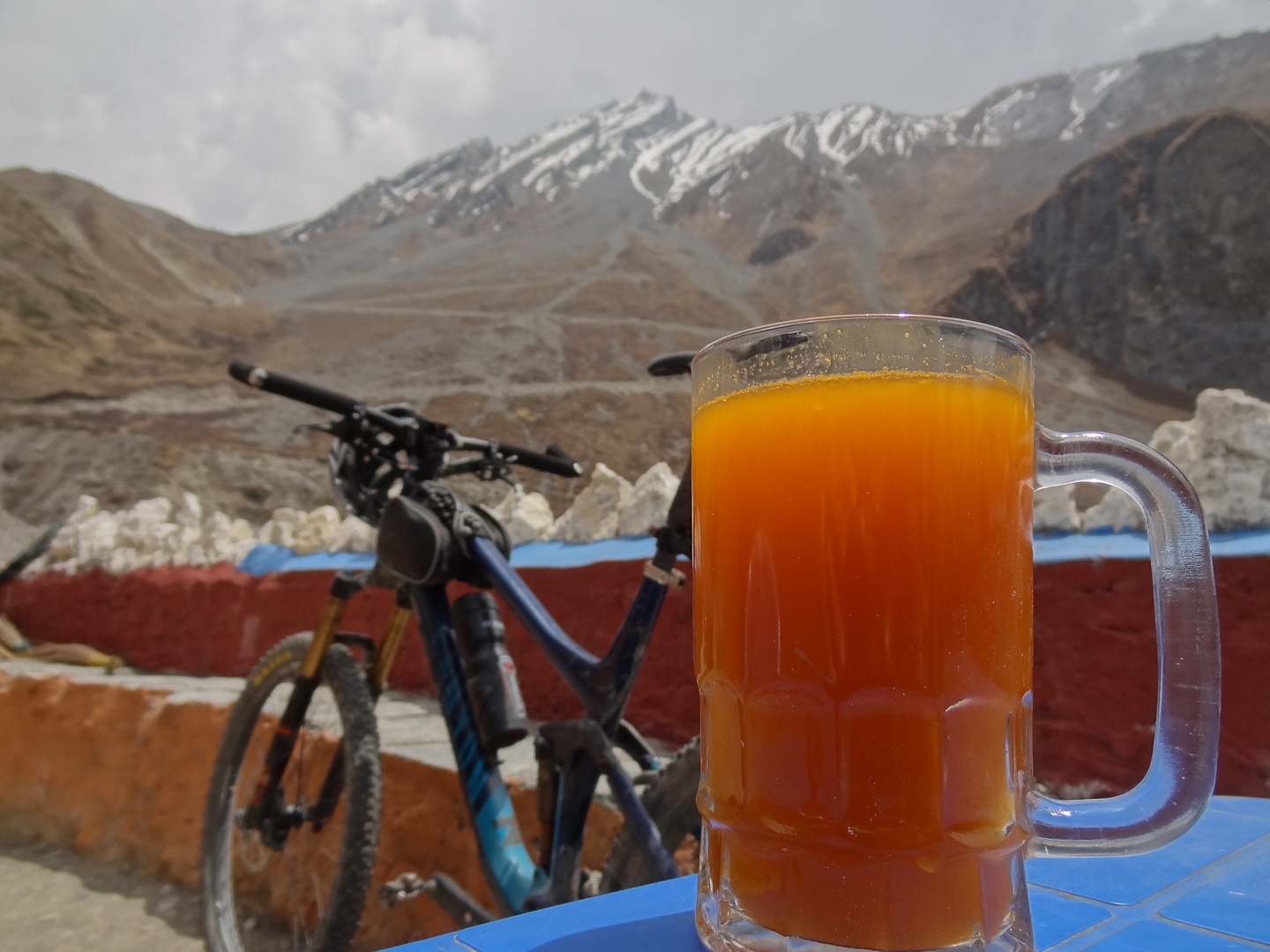 chhangur-seabuckthorn.jpg