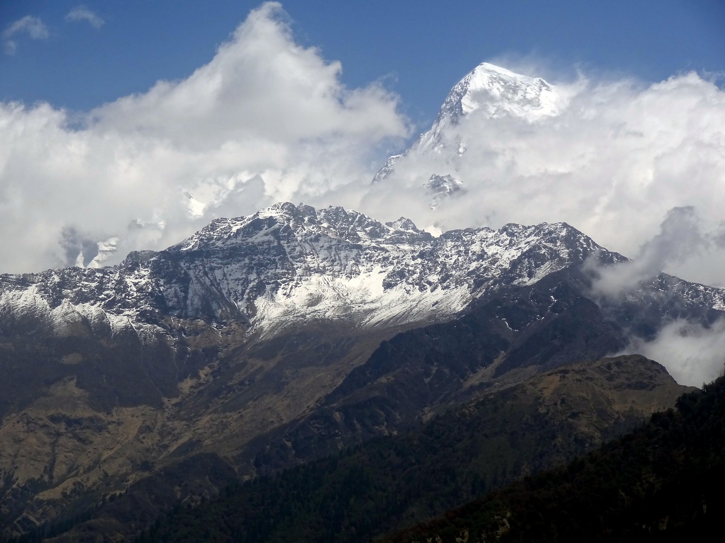 ghorepani-annapurna.jpg