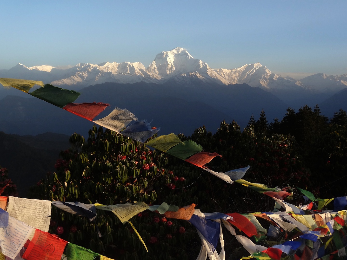 ghorepani-poonhill3.jpg