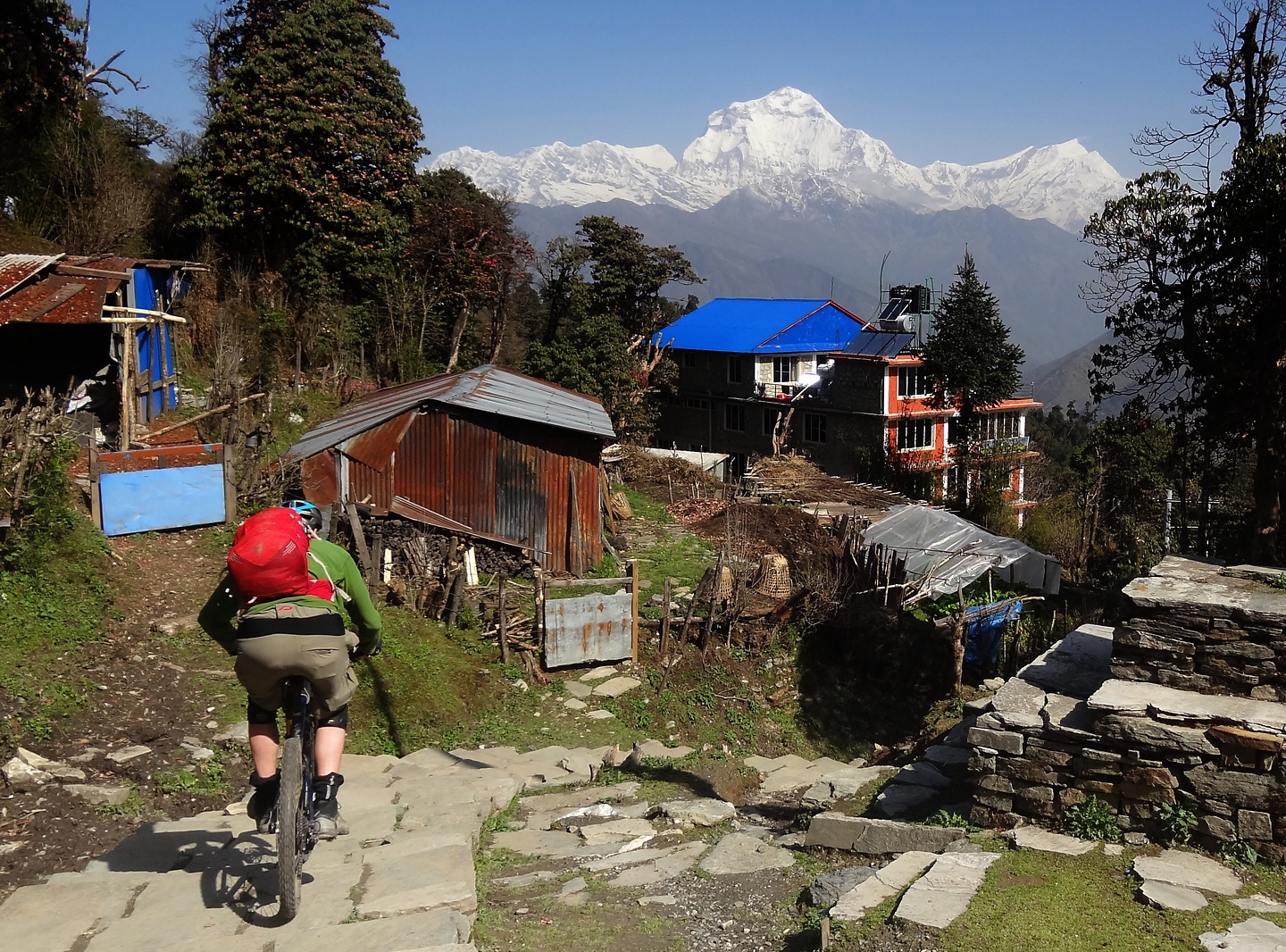 ghorepani-trail2.jpg