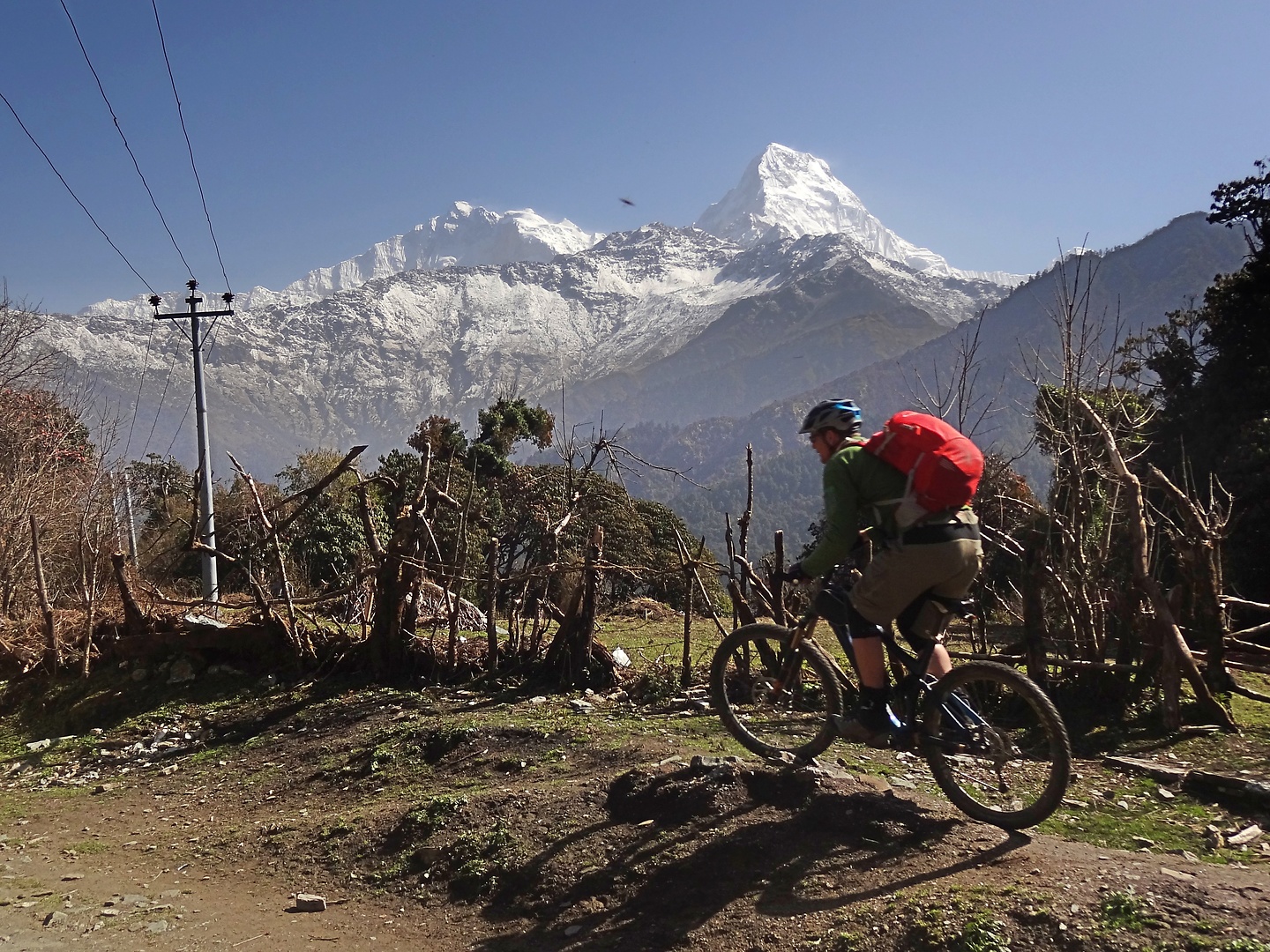 ghorepani-trail4.jpg