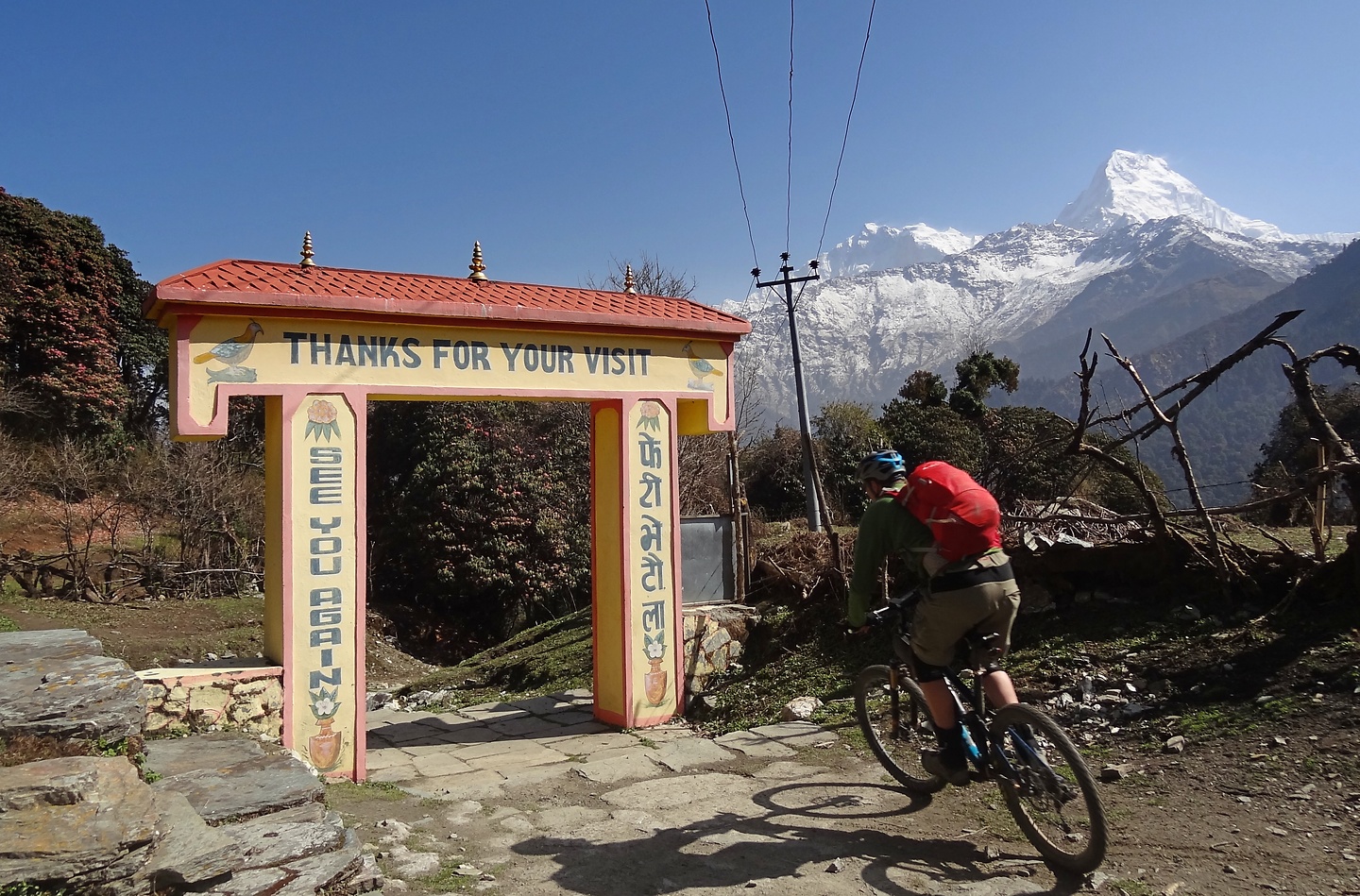 ghorepani-trail5.jpg