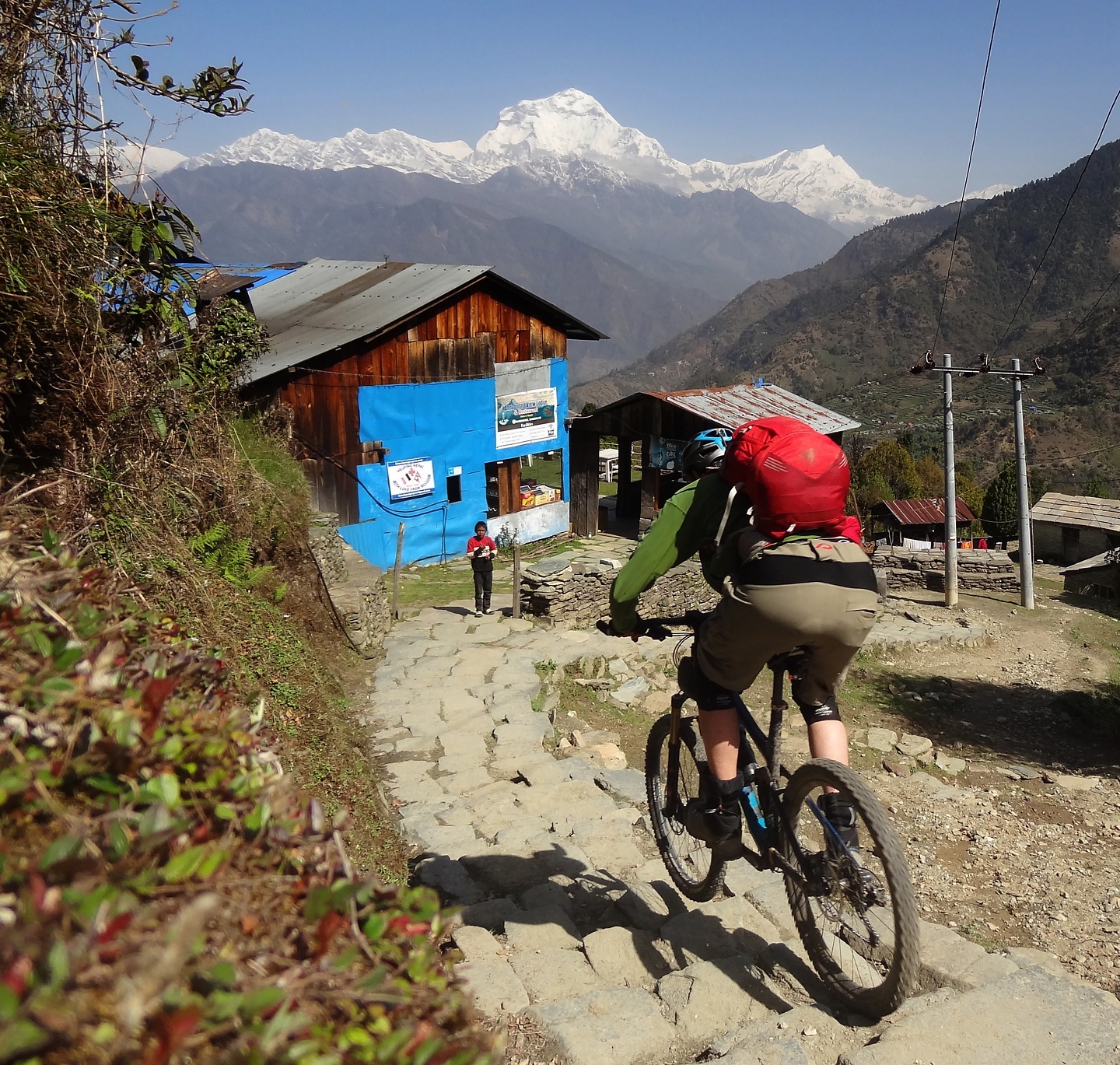 ghorepani-trail8.jpg