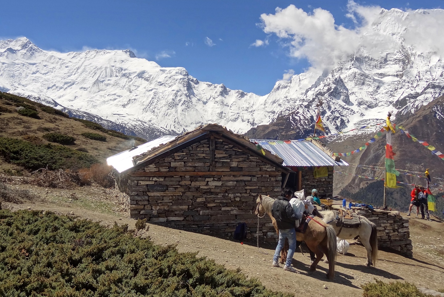 icelake-teahouse.jpg