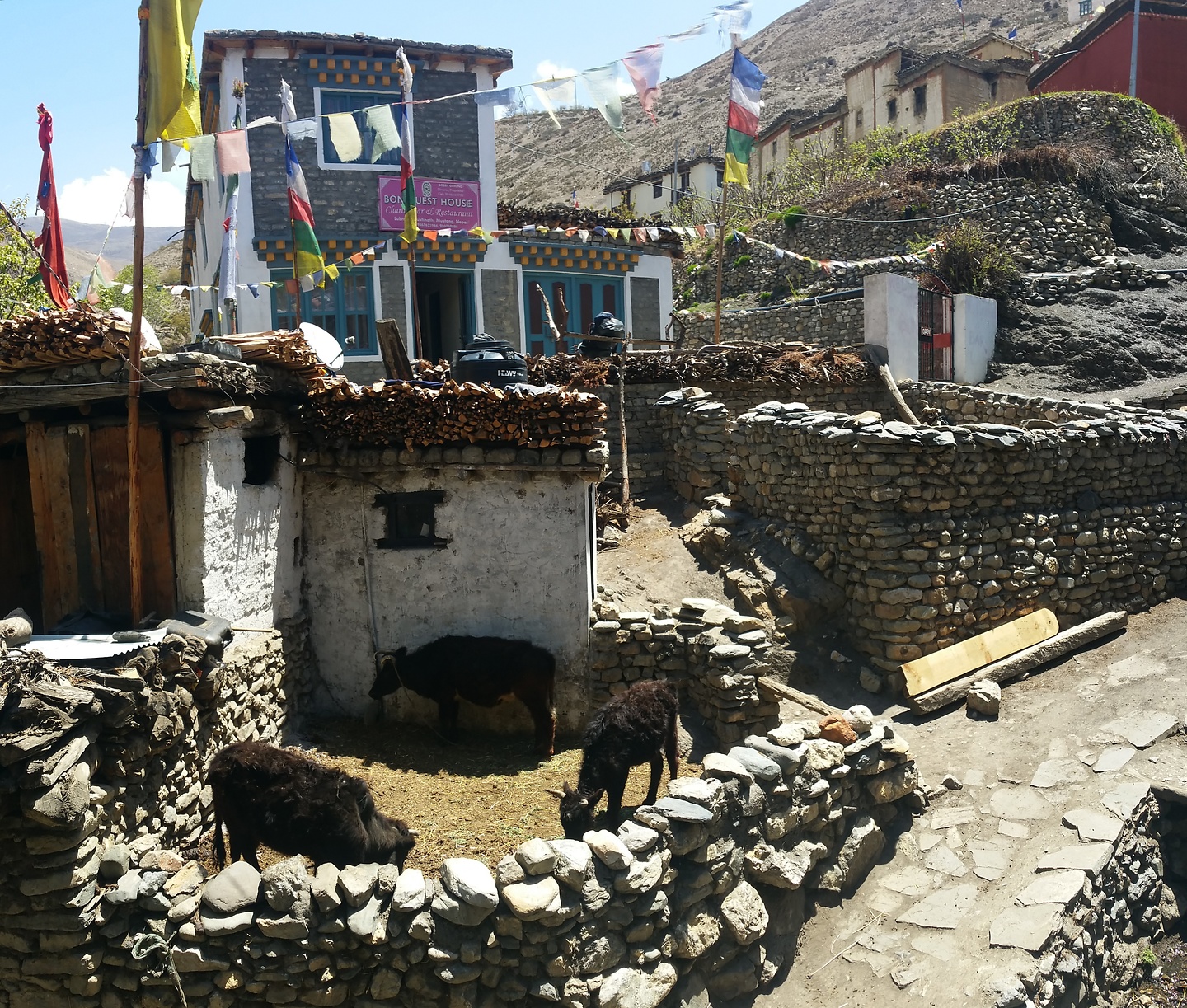 lupra-village2.jpg