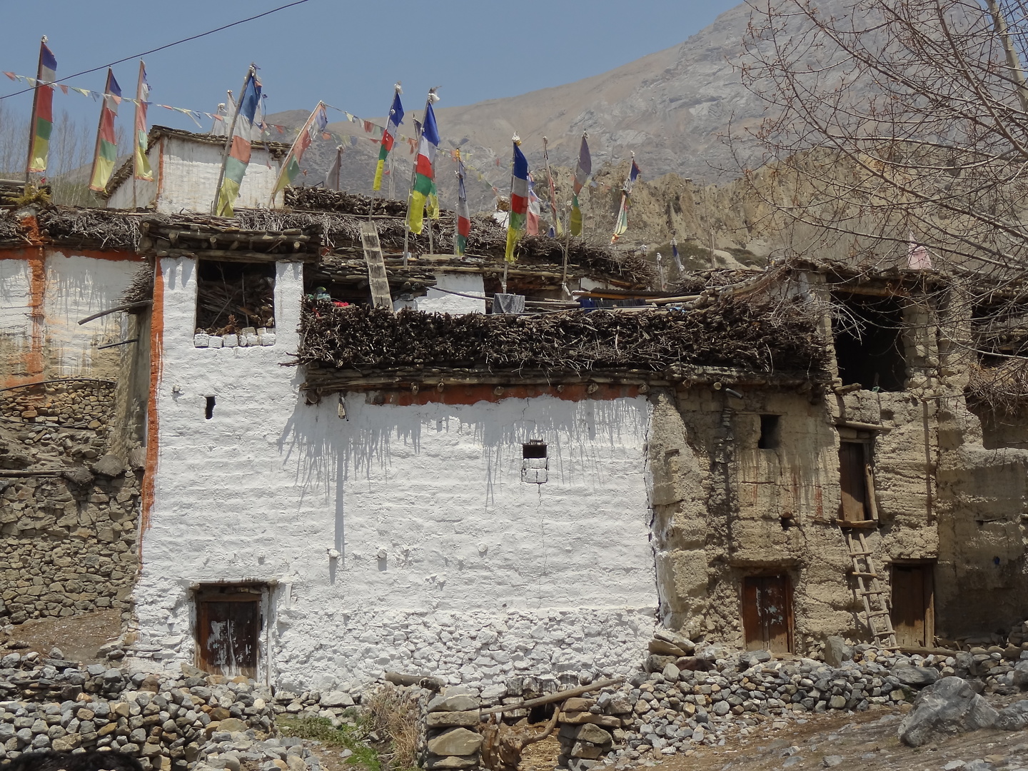 muktinath-dzong1.jpg