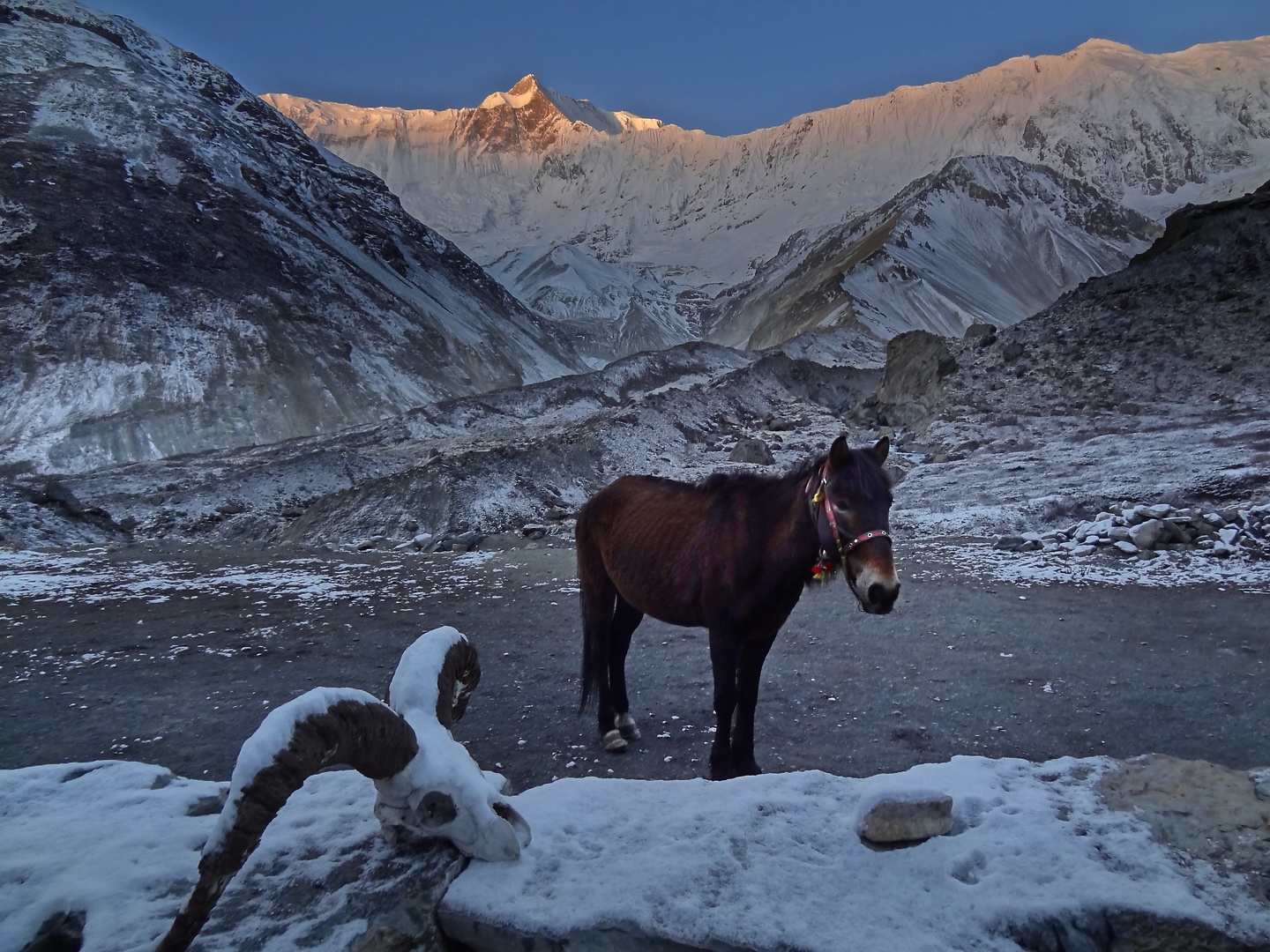 tilicho-sunrise.jpg