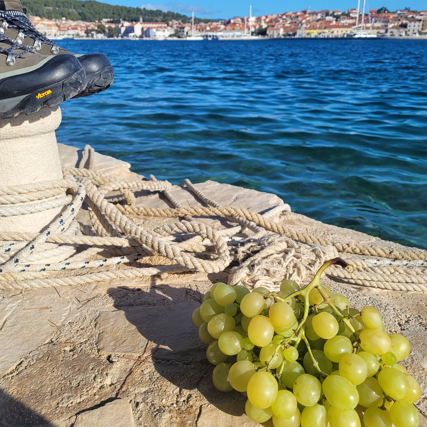 korcula-grapes.jpg