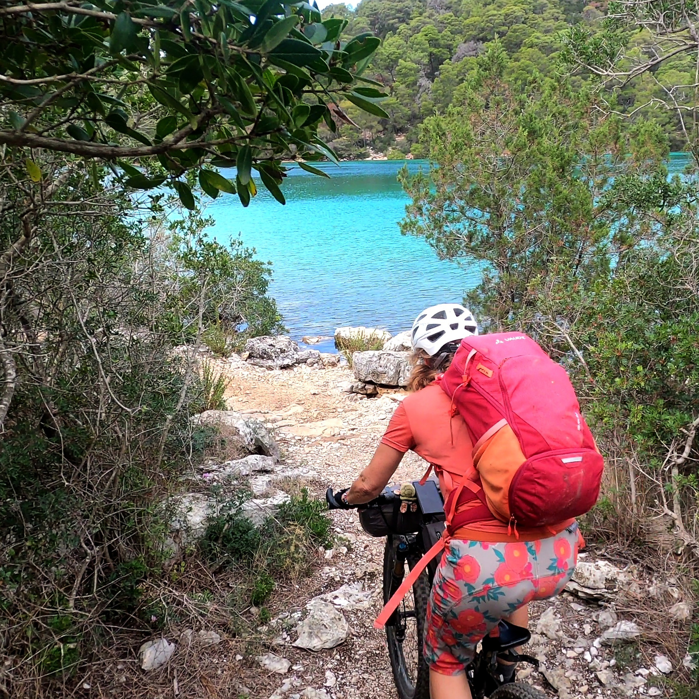 mljet-trail2.jpg