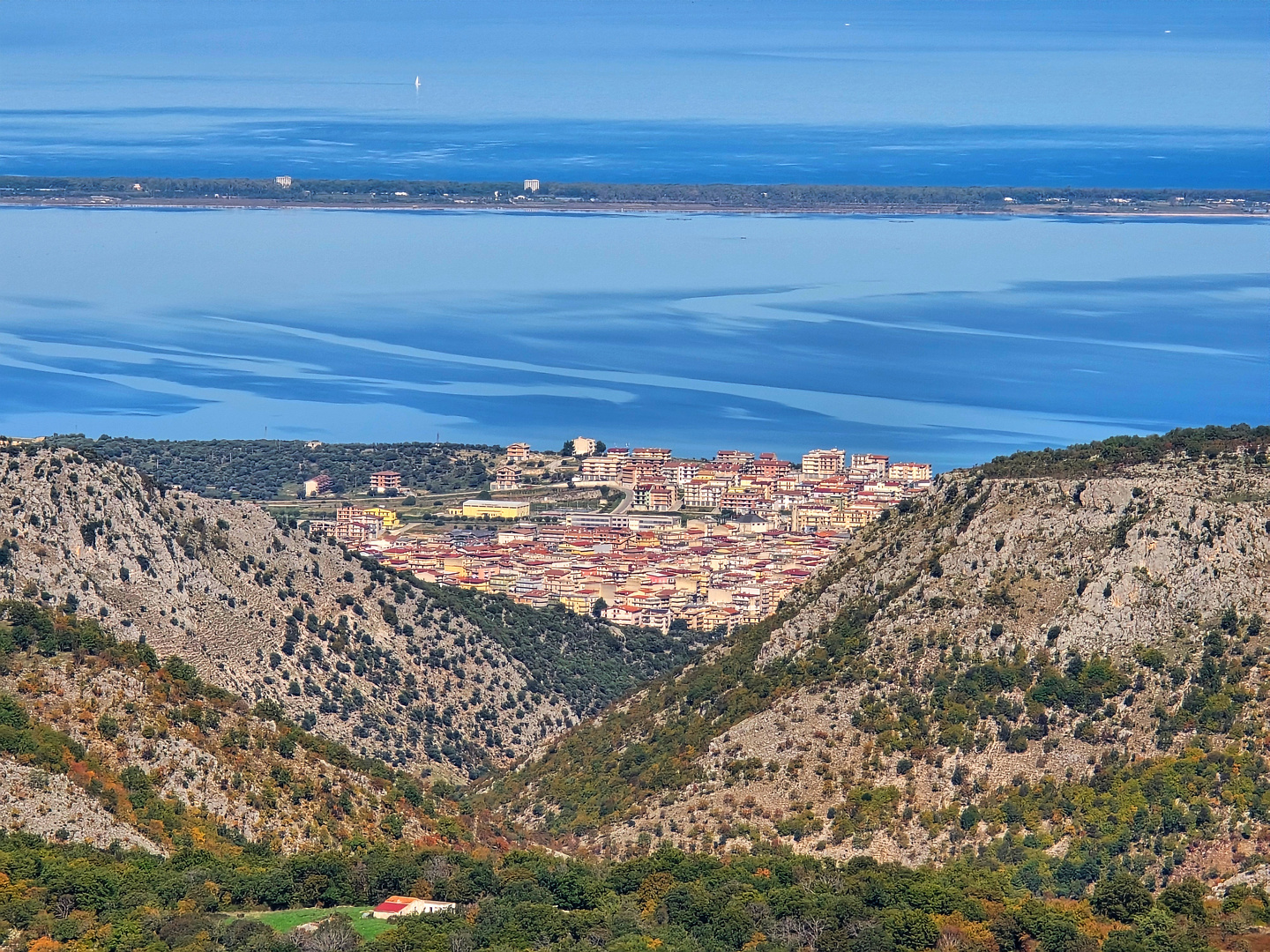 gargano-anguille12.jpg