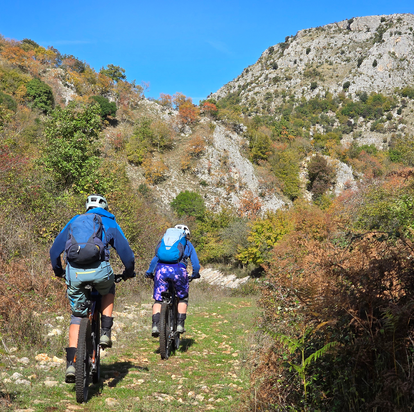 gargano-anguille19.jpg