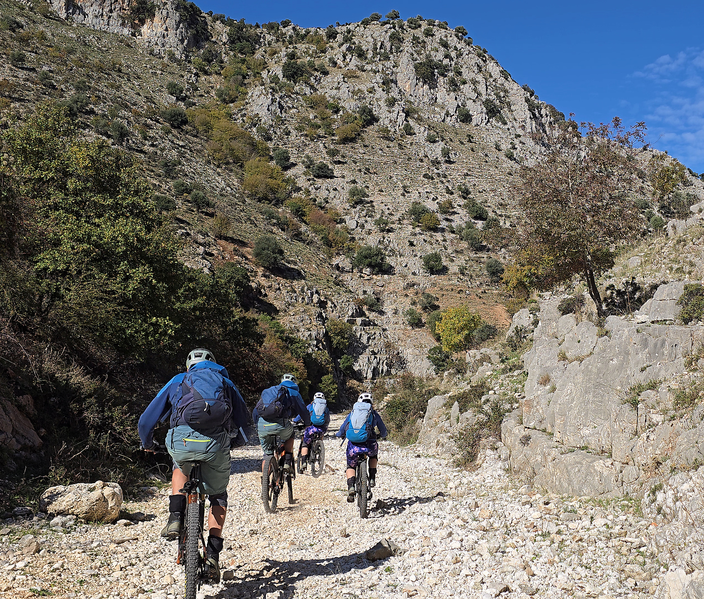 gargano-anguille22.jpg