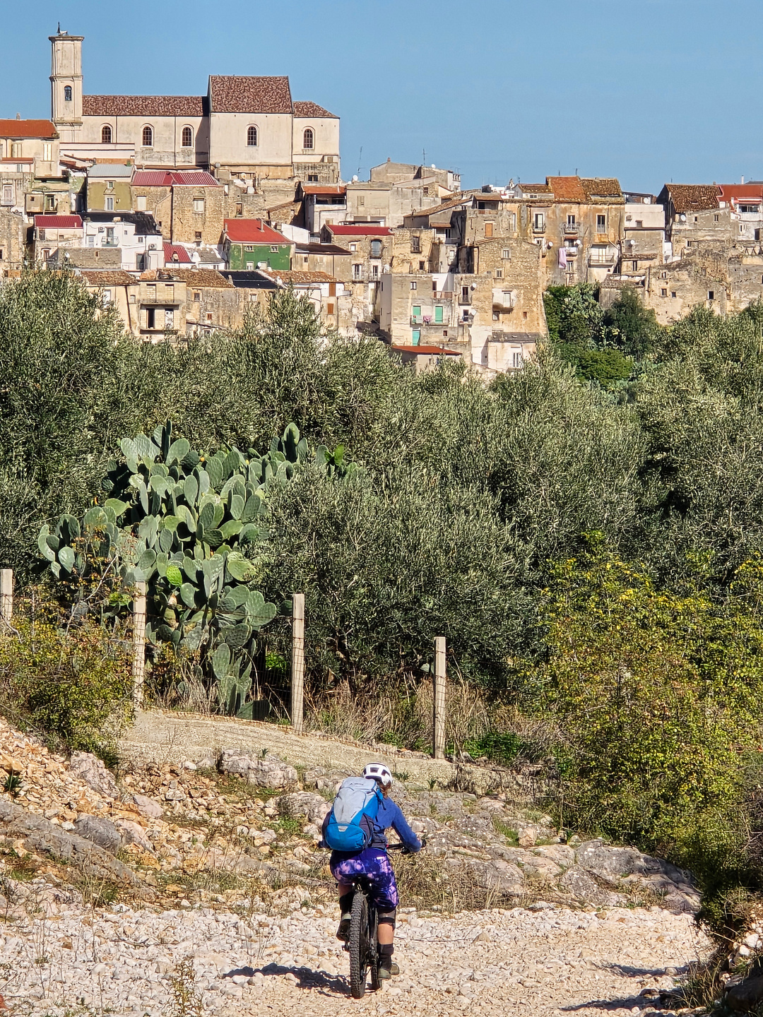 gargano-anguille24.jpg