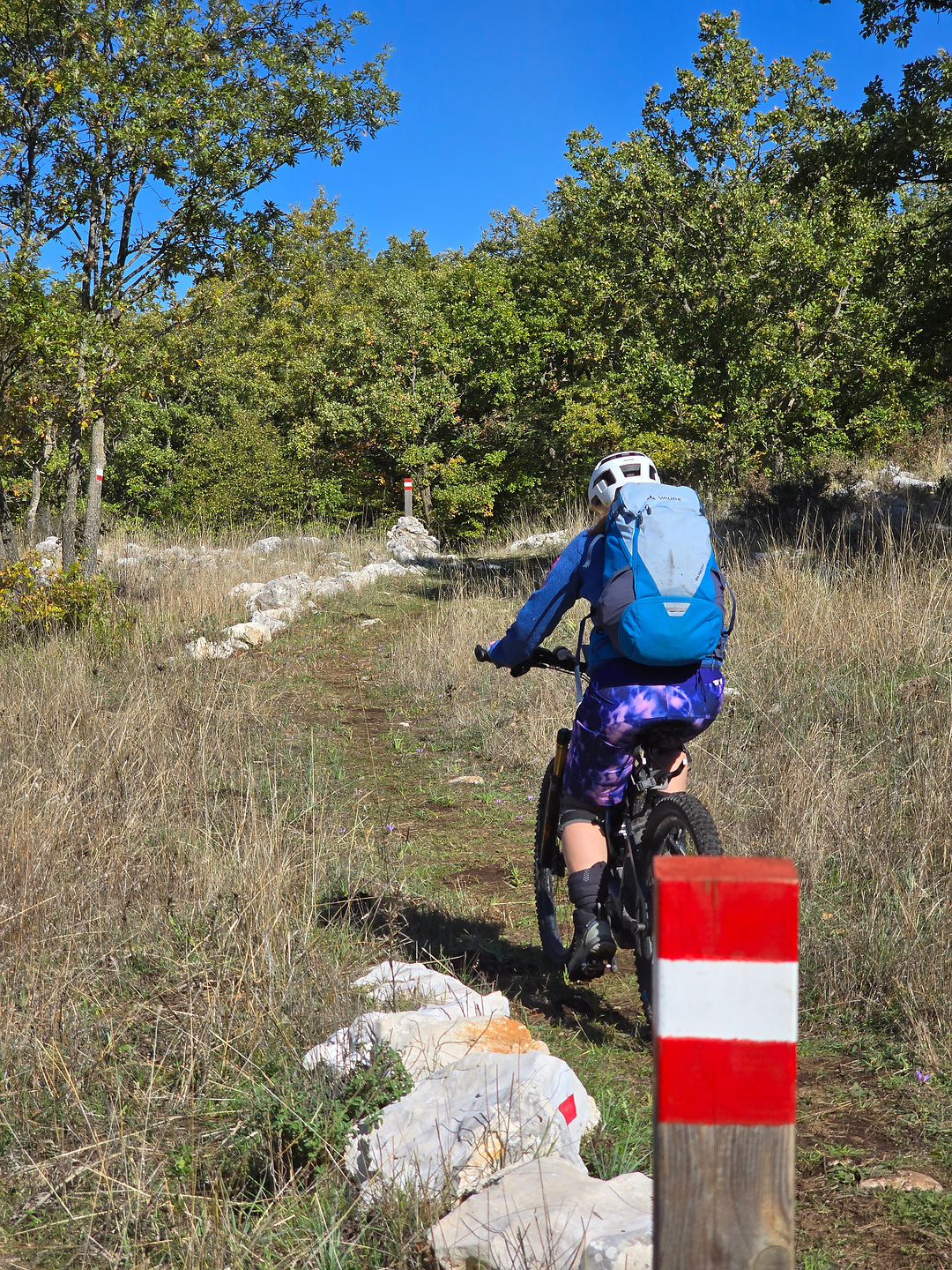 gargano-anguille8.jpg