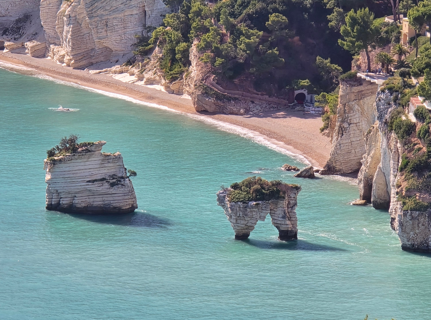 gargano-mergoli4.jpg