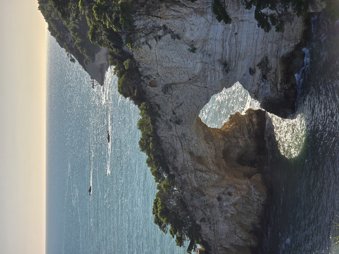 gargano-vignanotica1.jpg