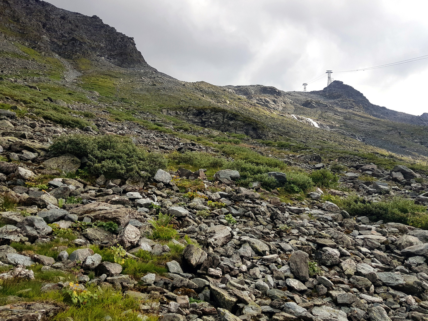 verbier-montfort4.jpg