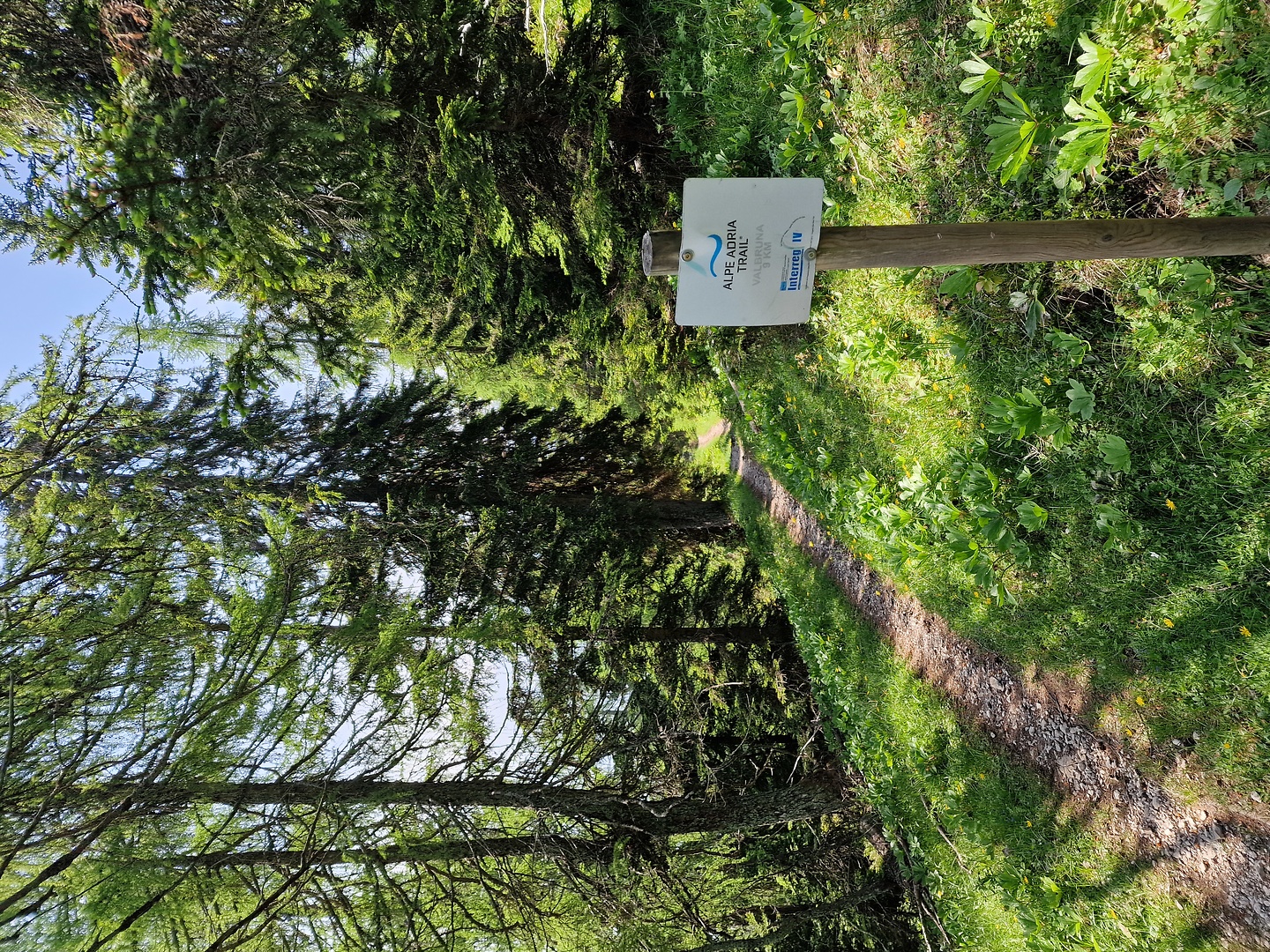 achomitzer-trail3.jpg